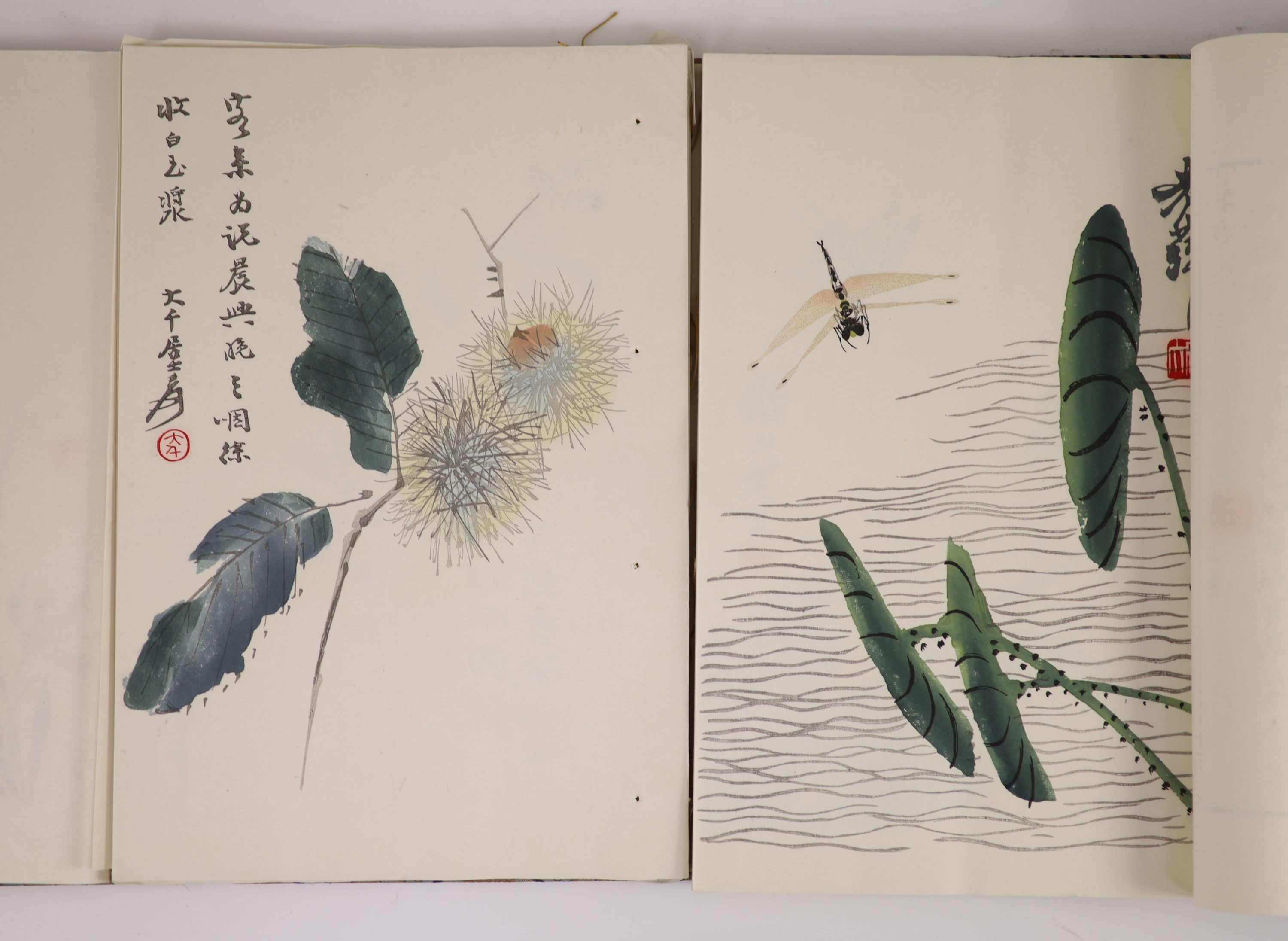 'The Beijing Rong Bao Zhai Shi Jianpu Poetry Book, with woodblock illustrations by famous artists including Qi Baishi, decorative brocade case